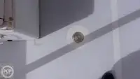 डायव्ह सपोर्ट विक्रीसाठी