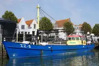 Trawler विक्रीसाठी