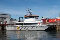 Catamaran विक्रीसाठी
