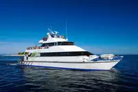 Catamaran विक्रीसाठी