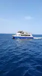 Catamaran विक्रीसाठी