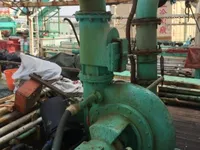 स्क्विड जिगर विक्रीसाठी