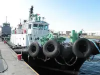 टोबोट विक्रीसाठी