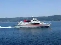 Catamaran विक्रीसाठी