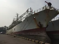 स्क्विड जिगर विक्रीसाठी