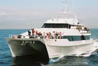 Catamaran विक्रीसाठी