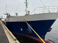 General Cargo/Multi-purpose विक्रीसाठी