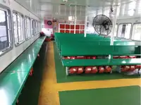 फेरी जहाज विक्रीसाठी