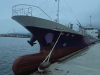 General Cargo/Multi-purpose विक्रीसाठी