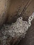 बल्क वाहक विक्रीसाठी