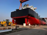 मोठ्या प्रमाणात वाहक विक्रीसाठी
