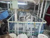 गस्त नौका विक्रीसाठी