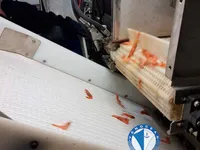 ट्रॉलर विक्रीसाठी