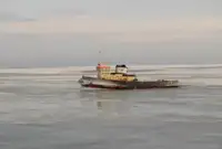 टोबोट विक्रीसाठी