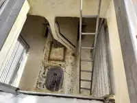 लाँगलाइनर विक्रीसाठी