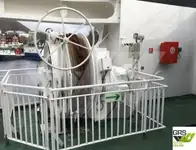 रोपाॅक्स जहाज विक्रीसाठी