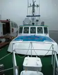 पायलट बोट विक्रीसाठी