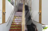 Ro-Ro ship विक्रीसाठी
