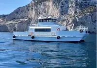 Catamaran विक्रीसाठी
