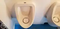 कॅटामारन विक्रीसाठी