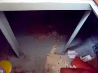 टोबोट विक्रीसाठी