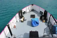 General Cargo/Multi-purpose विक्रीसाठी
