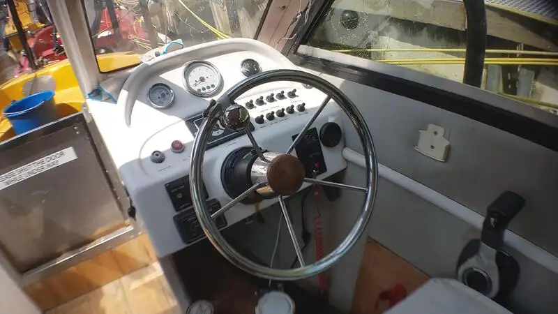 क्रूझ फेरी विक्रीसाठी