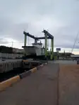 Catamaran विक्रीसाठी