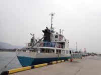 General Cargo/Multi-purpose विक्रीसाठी
