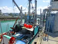 Trawler विक्रीसाठी