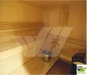डायव्ह सपोर्ट विक्रीसाठी