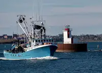 Purse seiner विक्रीसाठी