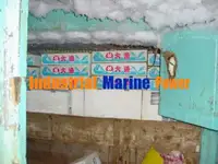 लाँगलाइनर विक्रीसाठी