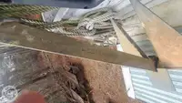 क्रूझ जहाज विक्रीसाठी