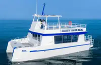 Catamaran विक्रीसाठी