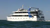 Catamaran विक्रीसाठी
