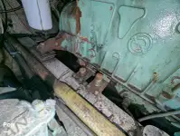 क्रूझ फेरी विक्रीसाठी