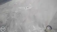 कंटेनर जहाज विक्रीसाठी