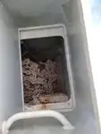 फेरी जहाज विक्रीसाठी