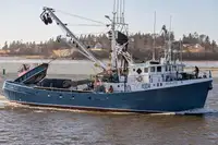 Purse seiner विक्रीसाठी