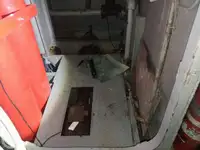 क्रूझ जहाज विक्रीसाठी