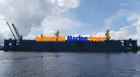 फ्लोटिंग डॉक विक्रीसाठी