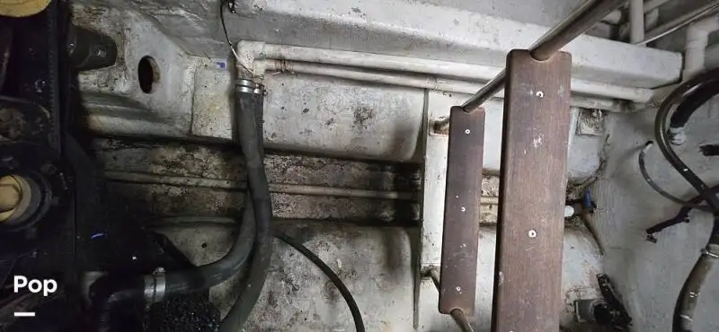 डायव्ह सपोर्ट विक्रीसाठी