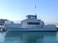 Catamaran विक्रीसाठी