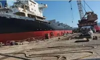मोठ्या प्रमाणात वाहक विक्रीसाठी