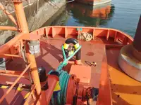 टोबोट विक्रीसाठी