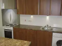 ड्रेजर विक्रीसाठी