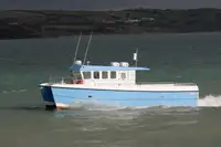 Catamaran विक्रीसाठी