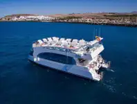 Catamaran विक्रीसाठी