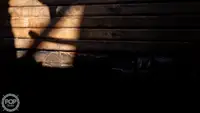 ट्रॉलर विक्रीसाठी